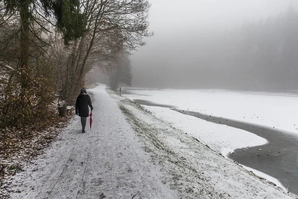 Kız yalnız şemsiye yol ağaçları kış yürüyüş — Stok fotoğraf