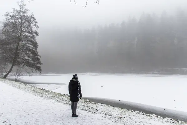 Kız yalnız yürüme yolu ve ağaçları kış merak arazi 2 — Stok fotoğraf