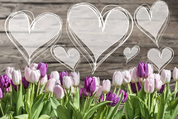 Bouquet white and pink tulips and heart frames with words textspace copyspace — Stock Photo, Image