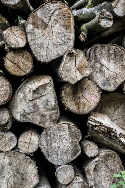 Soyut fotoğraf kazık doğal ahşap arka plan kıyılmış kuru odun günlükleri kışa hazır