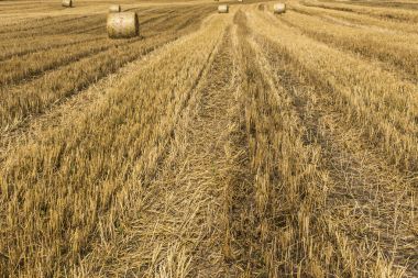 Yaz Almanya Andernach yakınındaki sırasında alan tarım saman balya ile hasat