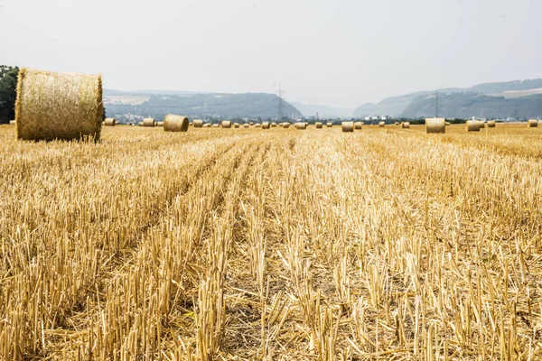 Συγκομίζονται τομέα γεωργία με αχυρόμπαλες κατά τη διάρκεια του καλοκαιριού Γερμανία κοντά Άντερναχ — Φωτογραφία Αρχείου