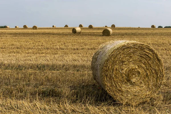 Harvested field agriculture with straw bales during summer germany near Andernach — Stock Photo, Image