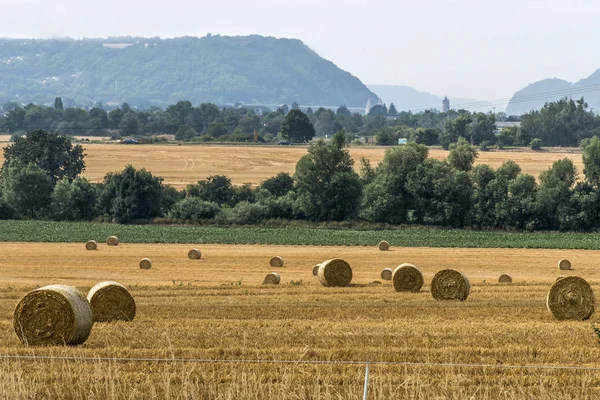 Harvested field agriculture with straw bales during summer germany near Andernach — Stock Photo, Image