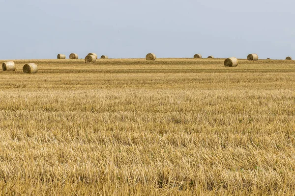 Harvested field agriculture with straw bales during summer germany near Andernach — Stock Photo, Image