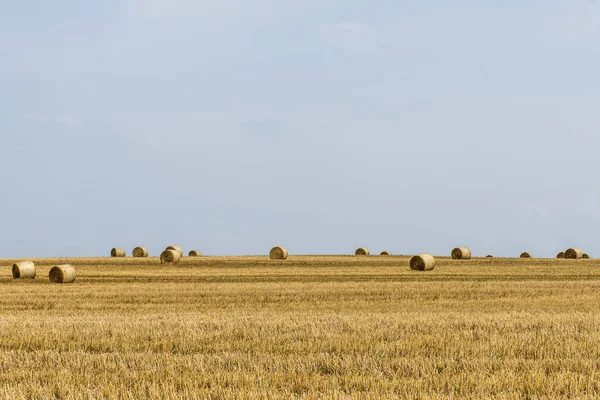 Συγκομίζονται τομέα γεωργία με αχυρόμπαλες κατά τη διάρκεια του καλοκαιριού Γερμανία κοντά Άντερναχ — Φωτογραφία Αρχείου