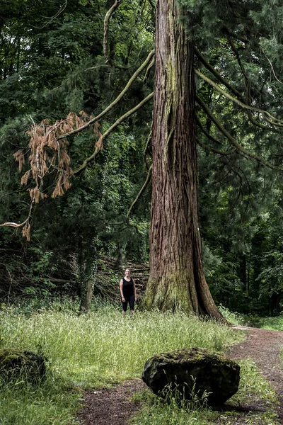 Parque Nacional Alemán chica de senderismo en el sendero junto a un enorme árbol de mamut viejo — Foto de Stock