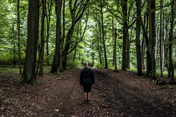 Bella escursionista donna in piedi sul sentiero forestale guardando altrove. Femmina in escursione nella natura spettrale foreste mistiche — Foto Stock