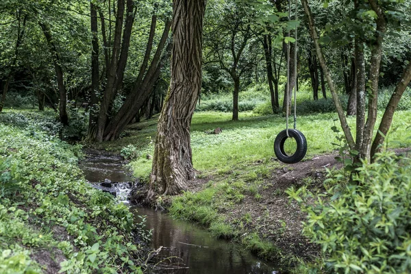 Neumático de coche utilizado como columpio en el bosque arbóreo cerca de arroyo Concepto foto de la nostalgia infantil recuerdo retro vintage — Foto de Stock
