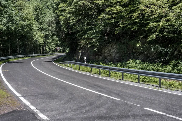 Camino de campo en el bosque de hormigón con señales de límite de velocidad de 50 km hora día soleado — Foto de Stock