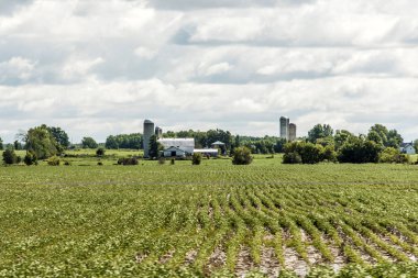 Kırsal Ontario çiftlik Barn Silo depolama tarım hayvan Kanada tarım ile