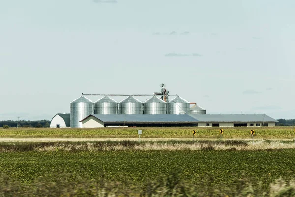 Rural Ontario Farm with Barn Silo storage agriculture animals Canada farming — Stock Photo, Image