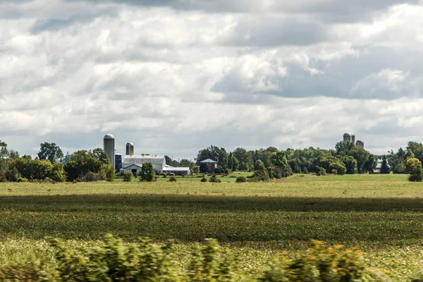 Rural Ontario Farm with Barn Silo storage agriculture animals Canada farming — Stock Photo, Image