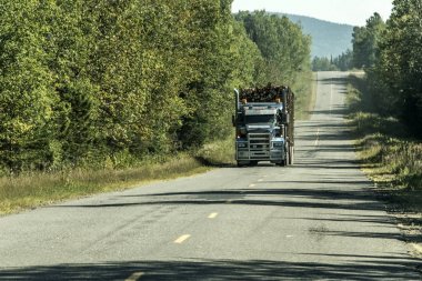 Büyük kamyon otoyol ahşap hasat alan bitki Kanada ontario quebec hareket günlüğü