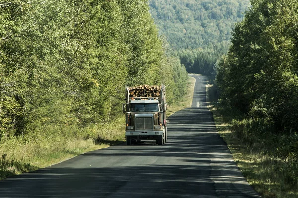 Großer holzstapler, der autobahn holz aus erntefeld pflanze kanada ontario quebec bewegt — Stockfoto