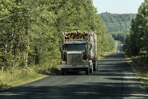 Großer holzstapler, der autobahn holz aus erntefeld pflanze kanada ontario quebec bewegt — Stockfoto