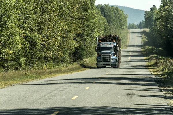 Gran camión maderero moviendo madera de carretera de la planta de campo de cosecha Canadá ontario quebec —  Fotos de Stock