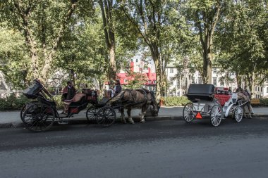 Quebec City, Kanada 13.09.2017 at taşıma turlar ile Unesco Dünya Mirası olan Historic District