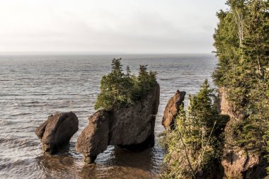 Sunrise ünlü Hopewell kayalar geologigal oluşumları düşük tide en büyük deprem dalgası Fundy Körfezi New Brunswick Kanada