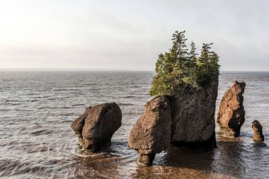 Sunrise ünlü Hopewell kayalar geologigal oluşumları düşük tide en büyük deprem dalgası Fundy Körfezi New Brunswick Kanada