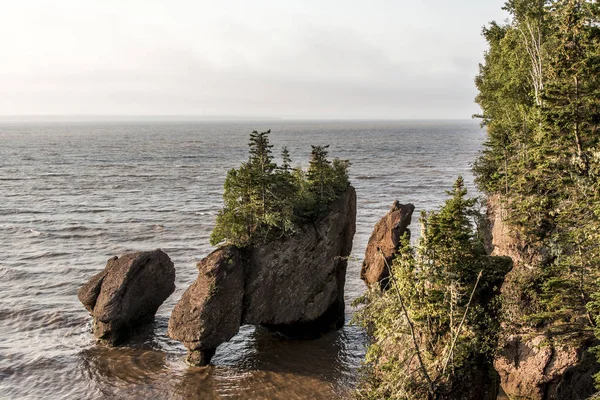 Sunrise ünlü Hopewell kayalar geologigal oluşumları düşük tide en büyük deprem dalgası Fundy Körfezi New Brunswick Kanada