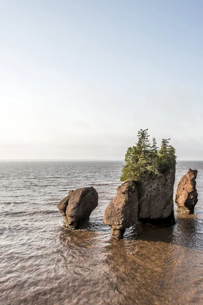 Sunrise ünlü Hopewell kayalar geologigal oluşumları düşük tide en büyük deprem dalgası Fundy Körfezi New Brunswick Kanada — Stok fotoğraf