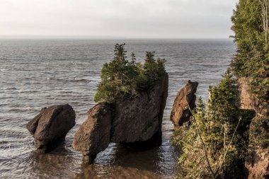 Sunrise ünlü Hopewell kayalar geologigal oluşumları düşük tide en büyük deprem dalgası Fundy Körfezi New Brunswick Kanada