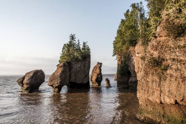 Sunrise famous Hopewell Rocks geologigal formations at low tide biggest tidal wave Fundy Bay New Brunswick Canada clipart
