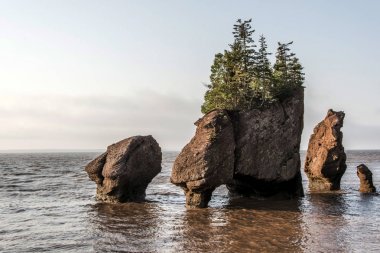 Sunrise ünlü Hopewell kayalar geologigal oluşumları düşük tide en büyük deprem dalgası Fundy Körfezi New Brunswick Kanada