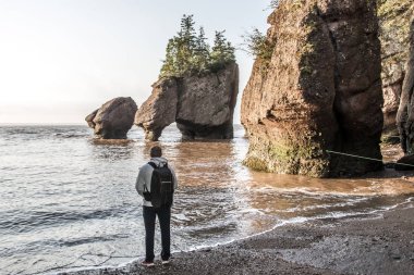 Man standing at Sunrise famous Hopewell Rocks formations at low tide biggest tidal wave Fundy Bay New Brunswick Canada clipart