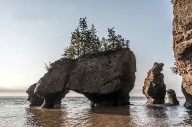 Sunrise ünlü Hopewell kayalar geologigal oluşumları düşük tide en büyük deprem dalgası Fundy Körfezi New Brunswick Kanada