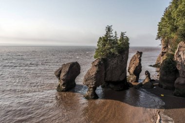 Sunrise ünlü Hopewell kayalar geologigal oluşumları düşük tide en büyük deprem dalgası Fundy Körfezi New Brunswick Kanada