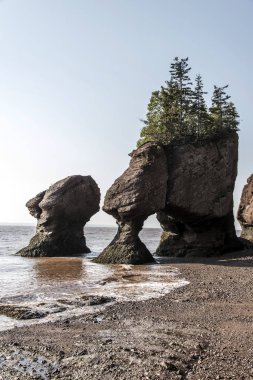 en büyük deprem dalgası Fundy Körfezi New Brunswick Kanada ünlü Hopewell kayalar geologigal oluşumları, düşük gelgit