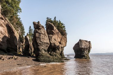 en büyük deprem dalgası Fundy Körfezi New Brunswick Kanada ünlü Hopewell kayalar geologigal oluşumları, düşük gelgit