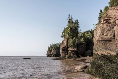 en büyük deprem dalgası Fundy Körfezi New Brunswick Kanada ünlü Hopewell kayalar geologigal oluşumları, düşük gelgit