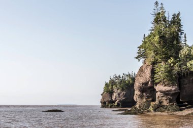 en büyük deprem dalgası Fundy Körfezi New Brunswick Kanada ünlü Hopewell kayalar geologigal oluşumları, düşük gelgit