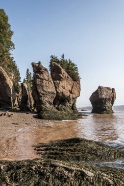 en büyük deprem dalgası Fundy Körfezi New Brunswick Kanada ünlü Hopewell kayalar geologigal oluşumları, düşük gelgit