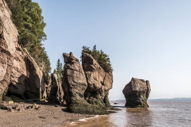 en büyük deprem dalgası Fundy Körfezi New Brunswick Kanada ünlü Hopewell kayalar geologigal oluşumları, düşük gelgit