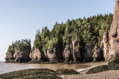 en büyük deprem dalgası Fundy Körfezi New Brunswick Kanada ünlü Hopewell kayalar geologigal oluşumları, düşük gelgit