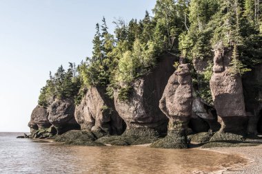 en büyük deprem dalgası Fundy Körfezi New Brunswick Kanada ünlü Hopewell kayalar geologigal oluşumları, düşük gelgit