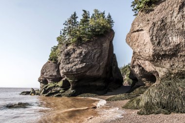 en büyük deprem dalgası Fundy Körfezi New Brunswick Kanada ünlü Hopewell kayalar geologigal oluşumları, düşük gelgit