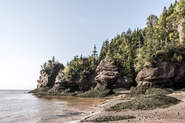 en büyük deprem dalgası Fundy Körfezi New Brunswick Kanada ünlü Hopewell kayalar geologigal oluşumları, düşük gelgit