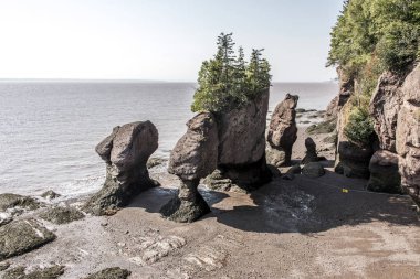 en büyük deprem dalgası Fundy Körfezi New Brunswick Kanada ünlü Hopewell kayalar geologigal oluşumları, düşük gelgit