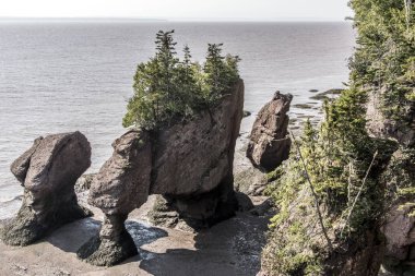 en büyük deprem dalgası Fundy Körfezi New Brunswick Kanada ünlü Hopewell kayalar geologigal oluşumları, düşük gelgit