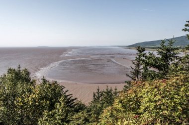 Low Tide Beach on Bay of Fundy New Brunswick - Canada brown colored water called chocolate river clipart