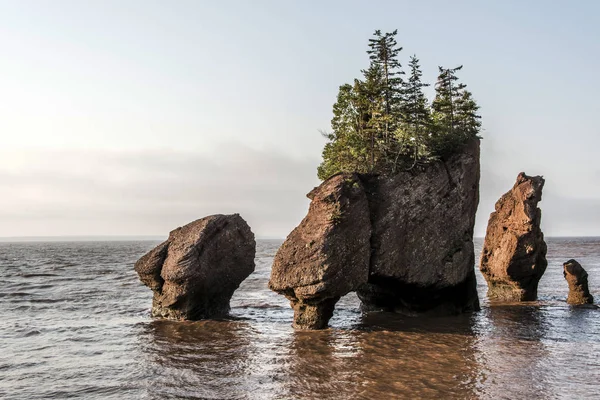 Sunrise ünlü Hopewell kayalar geologigal oluşumları düşük tide en büyük deprem dalgası Fundy Körfezi New Brunswick Kanada — Stok fotoğraf