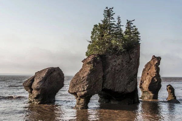 Sunrise ünlü Hopewell kayalar geologigal oluşumları düşük tide en büyük deprem dalgası Fundy Körfezi New Brunswick Kanada — Stok fotoğraf