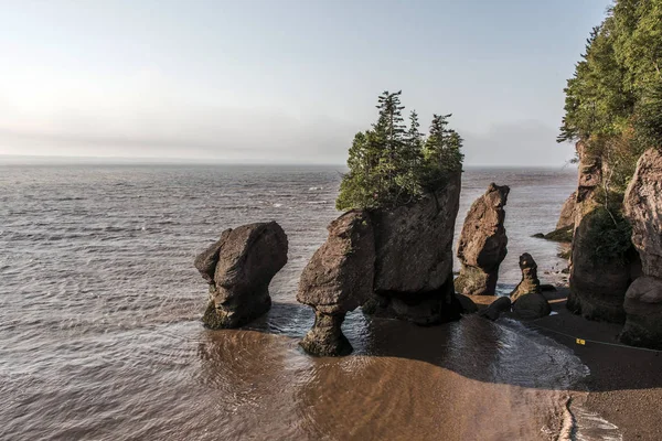 Sunrise ünlü Hopewell kayalar geologigal oluşumları düşük tide en büyük deprem dalgası Fundy Körfezi New Brunswick Kanada — Stok fotoğraf