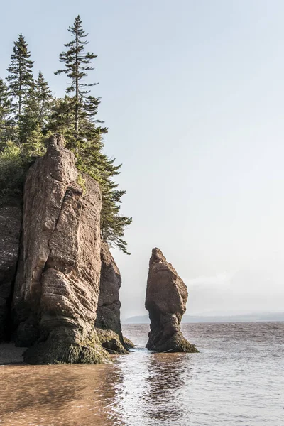 en büyük deprem dalgası Fundy Körfezi New Brunswick Kanada ünlü Hopewell kayalar geologigal oluşumları, düşük gelgit