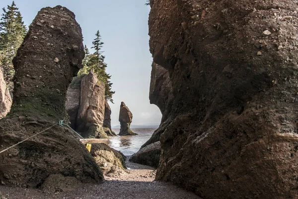 ホープウェル岩 geologigal の有名な形成物低潮の最大津波ファンディ湾ニューブランズウィック州カナダ — ストック写真
